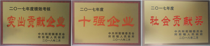 新光公司再獲所前鎮(zhèn)“突出企業(yè)貢獻獎”等多項榮譽