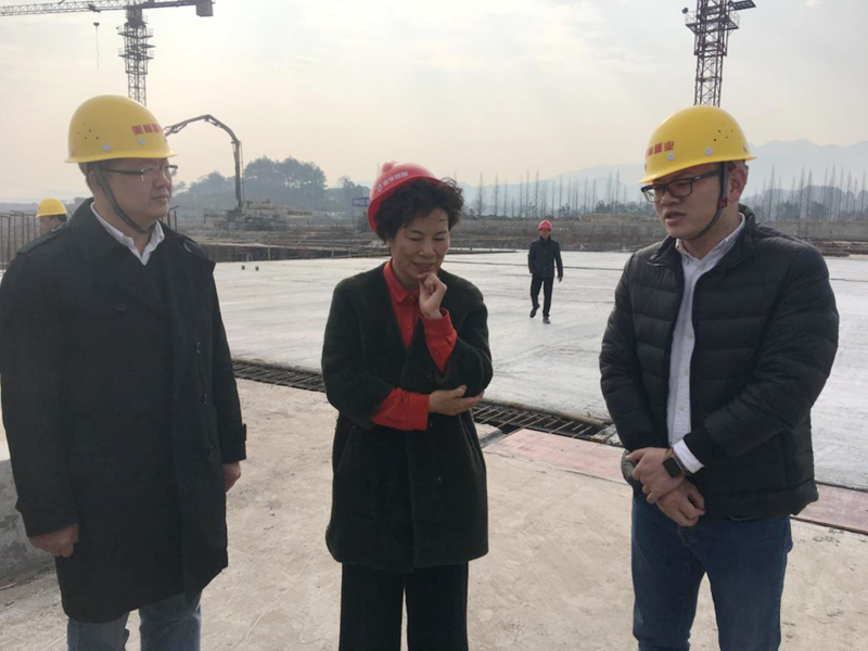 麗水市委常委、宣傳部長(zhǎng)任淑女調(diào)研松陽(yáng)美林·南城壹號(hào)項(xiàng)目