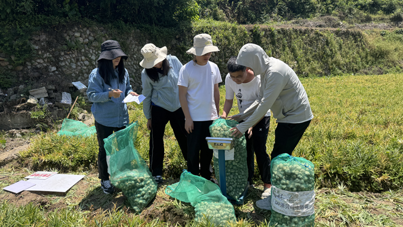 多方協(xié)同開展聯(lián)合試驗 農(nóng)資農(nóng)技助力中藥材種植提質(zhì)增效