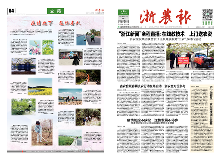浙農(nóng)報2020第4期（一、四版）